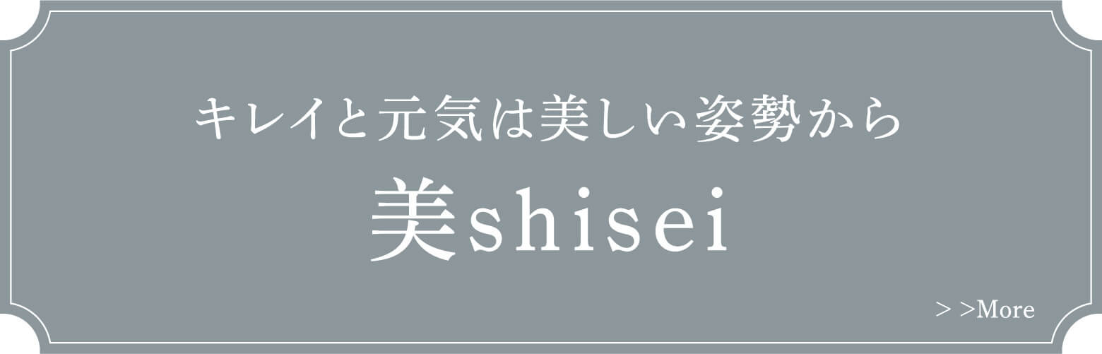 美shisei